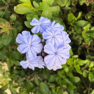 Meet your Posher, Patricia